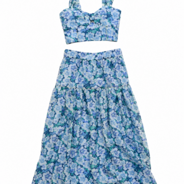 Floral Print Crop Top and Maxi Skirt Set